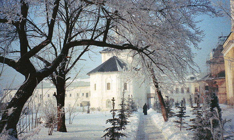 Свято-Троицкий Ново-Голутвин монастырь © Arina Lin