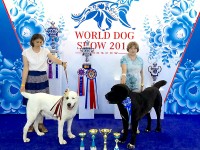 National Special Dog Shows / Dog Show of the Russian Breeds
