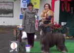 Видео Best In Group-10 Осенняя легенда 2016