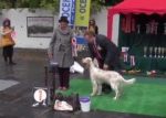 Видео Best In Group-7 Осенняя легенда 201