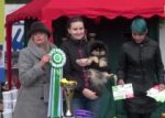 2016-best-junior